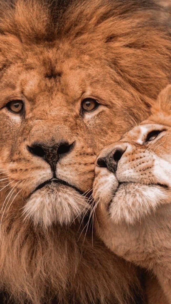 Gözlerime bakan seni görür..