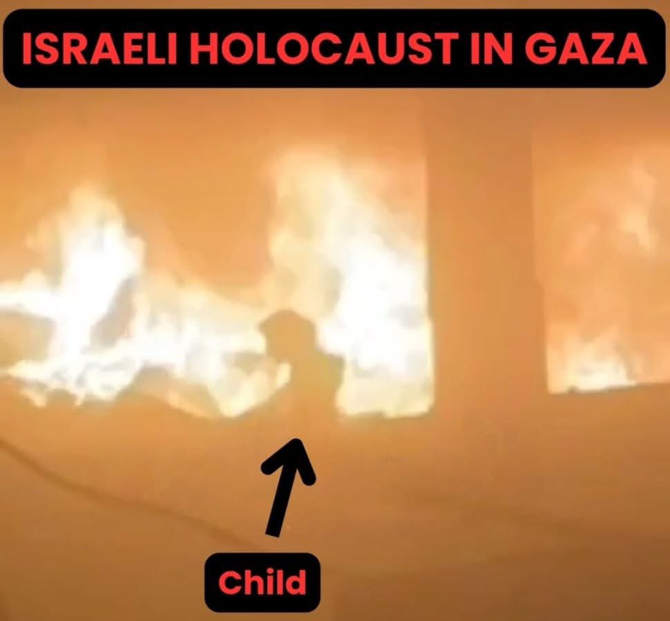 mdly353336's tweet photo. There is no moral difference between putting people in gas chambers and burning people in school in Gaza.

A holocaust is happening right before our eyes and the world is silent.https://t.co/oMQgit97uR https://t.co/cr2ODqcidk