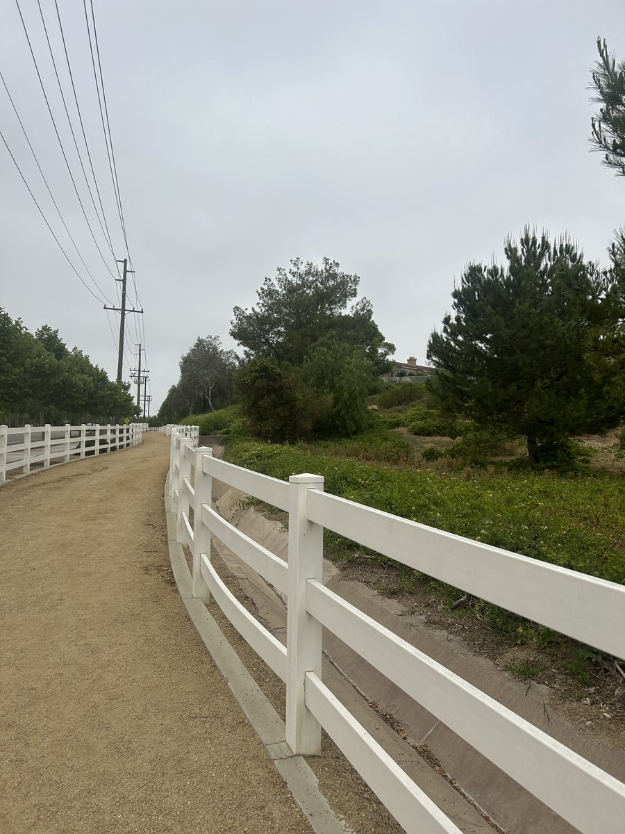 anaiiv78's tweet photo. MCCOY-EUCALYPTUS TRAIL 🌻🪻 https://t.co/2sk6Kolr1f