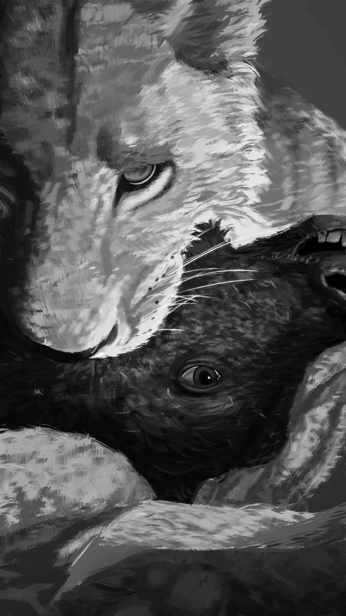 Dino 🔥 tweet media