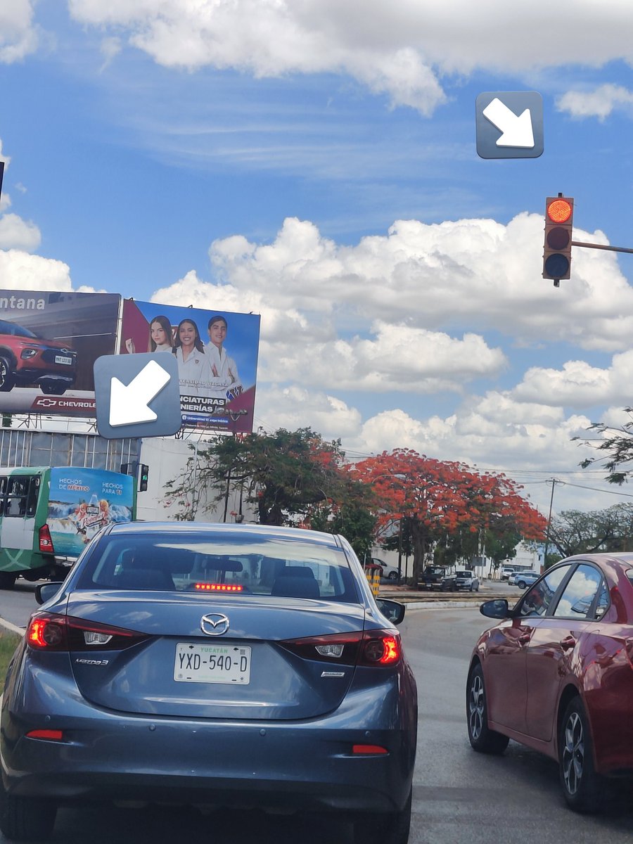 La Amiga Incómoda tweet media