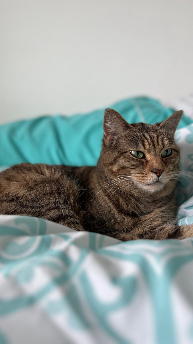 TCWHITTYY's tweet image. 