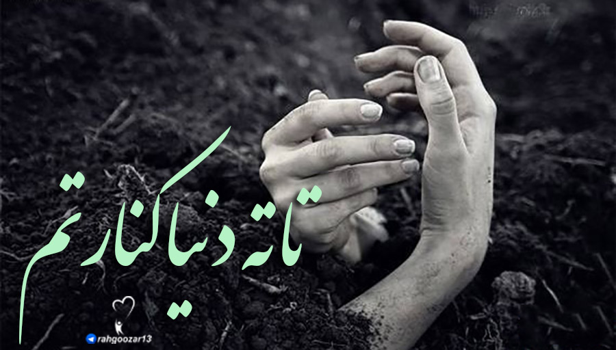 #فالوبک_تضمینی   #فالو_حمایتی  #فالوبک  #فالو_بک 
#folllomeback  #folloback  #follobackforfolloback