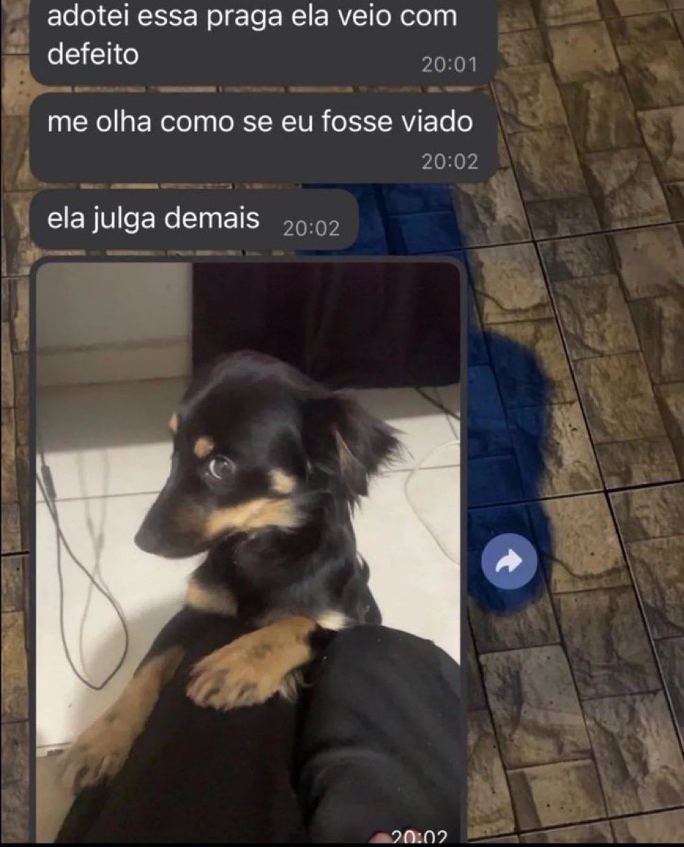 Se você rir, vai pro inferno (@vinoxcitou) on Twitter photo 