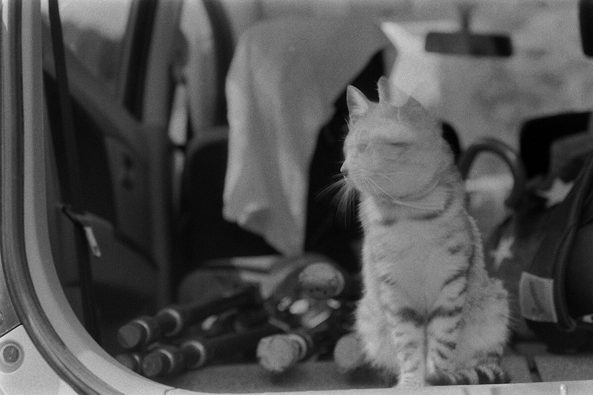 filmvoice1's tweet photo. 🎞失敗🐈⬛
#film #OLYMPAS
DELTA400 +F.ZUIKO AUTO-S50 https://t.co/WuDerspKRx