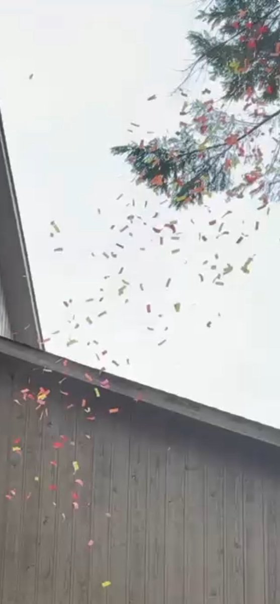 This weekend, the Royal Family of NorAuthwik gathered at Cardinal Hall for a joyous occasion—the celebration of the birthdays of Their Royal Highnesses Prince Josiah, Princess Belladonna, and my very own.

Surrounded by laughter and warmth, the halls were alive with tradition and