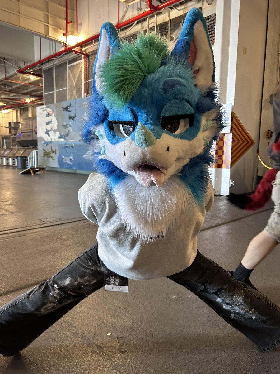Galacticamp was kinda fun :3 

🐶 <a href="/blzkwicz/">Cal</a> 
📷<a href="/pjfoxes/">pjfoxes 🦊💕</a>, <a href="/lappydoggy/">Mochimutt</a>
