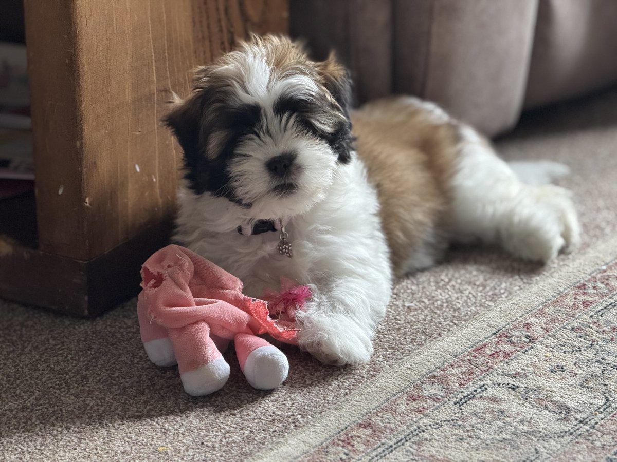 Another pink creature falls prey to this predator!