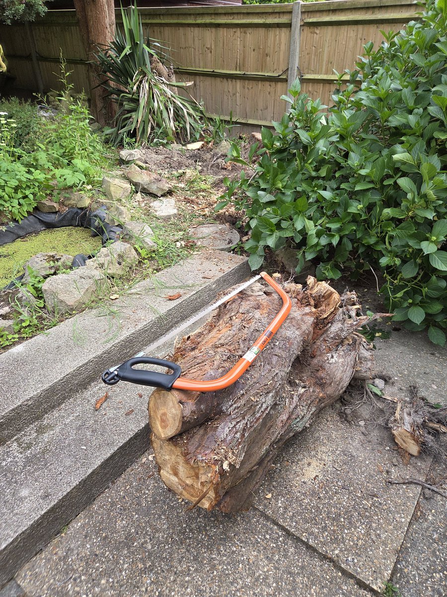 Turns out strength training also helps with cutting and moving tree stumps. 💪