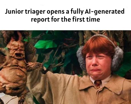 HackenProof (@hackenproof) on Twitter photo 