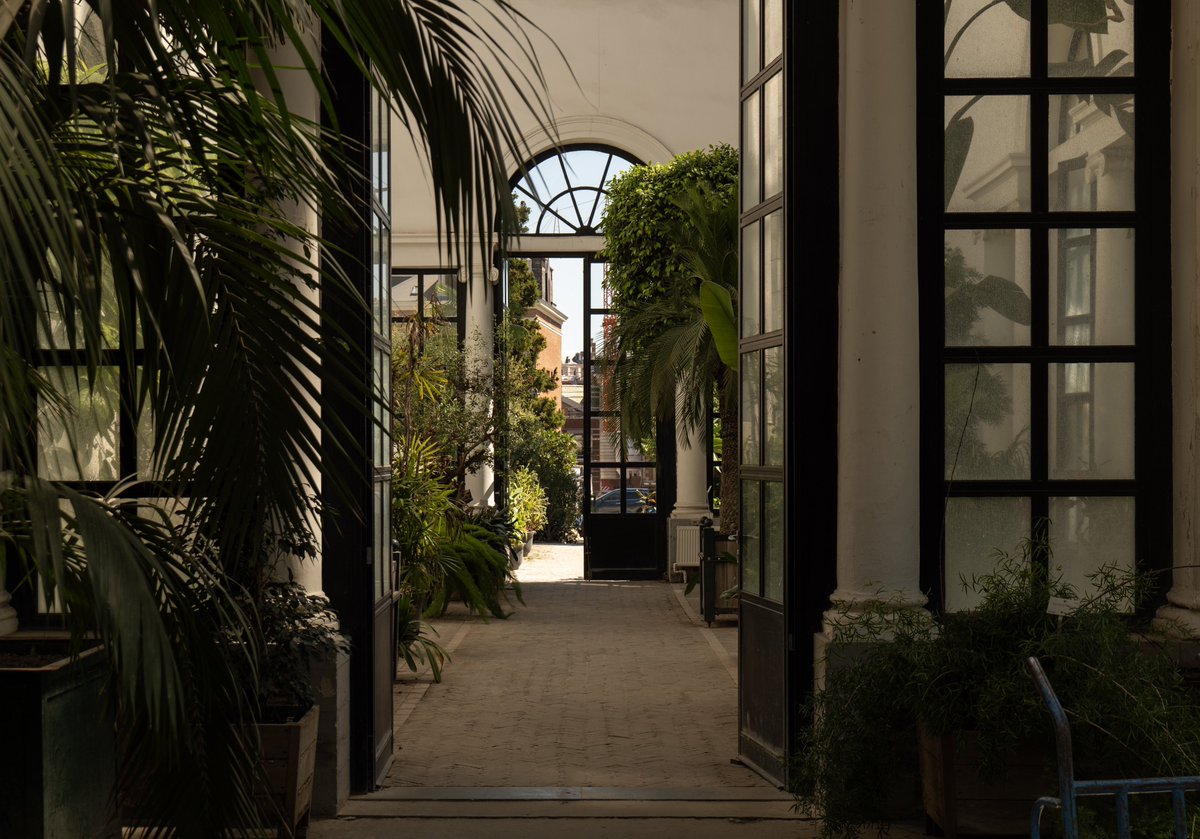 Raphael Barberi📷 tweet media