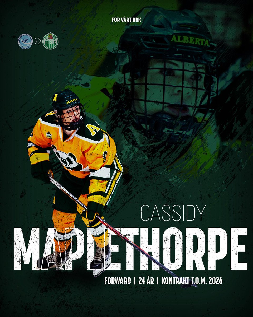 roglebk's tweet image. Skyttedrottningen Cassidy Maplethorpe förstärker Rögles damlag, välkommen till grönt och vitt!🟢⚪️

Läs mer på roglebk.se 🔗

#roglebk #förvårtrbk