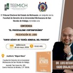 Photo by Tribunal Electoral del Estado. Michoacán. (@teemichmx)