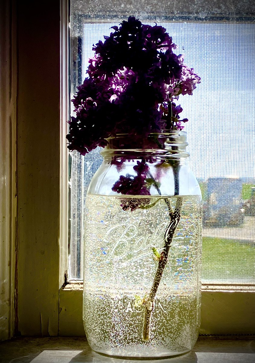 Spring lilacs in the window…quiet thoughts and remembrance for this Memorial Day….