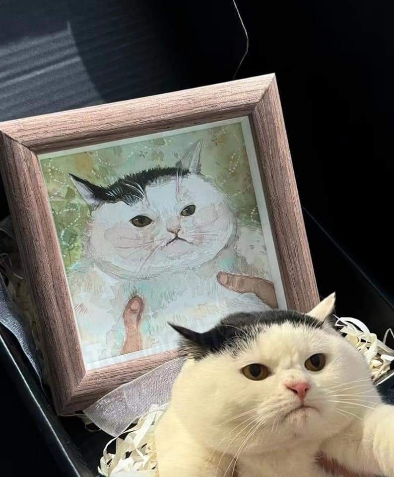 Похож?