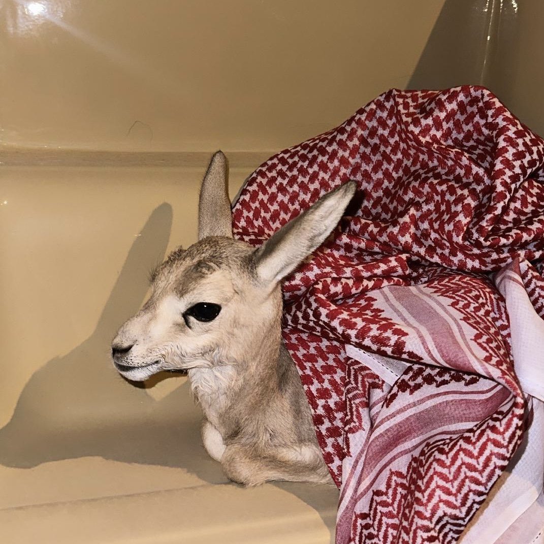 ㅤㅤㅤㅤ

͏ 

͏أهم حاجة تعيش ونظرتك عليا
لو ترخي السمع كل الناس هرّاجة..