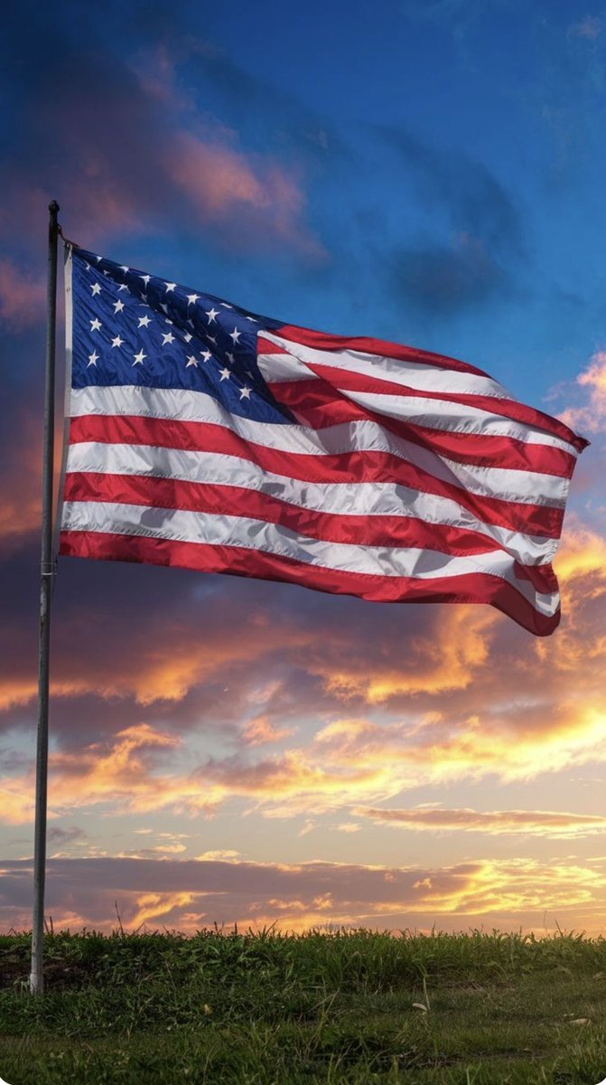 Levi Riggs tweet media