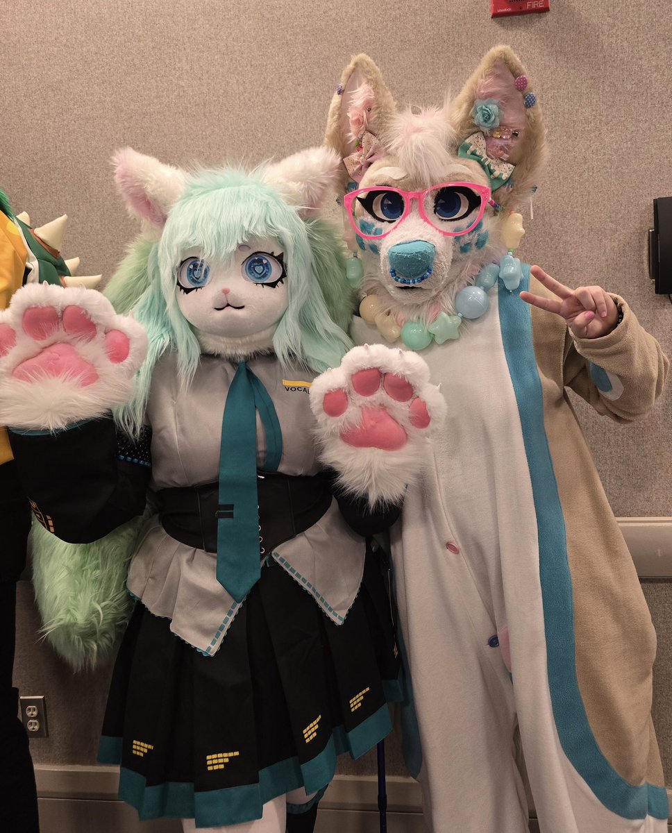 💗✨🧁CC The Corgi🧁✨💗 (@corgicc) on Twitter photo MIKU Furries at FWA?! Hell yeah! I love to see my favorite character & fandom come together🩵
<a href="/TheRoflfox/">Roflfox @ Anthrocon</a>
#furry #miku #furryfandom #fursuit #ccthecorgi #FWA #FWA2025 #Furryweekendatlanta MIKU Furries at FWA?! Hell yeah! I love to see my favorite character & fandom come together🩵
<a href="/TheRoflfox/">Roflfox @ Anthrocon</a>
#furry #miku #furryfandom #fursuit #ccthecorgi #FWA #FWA2025 #Furryweekendatlanta