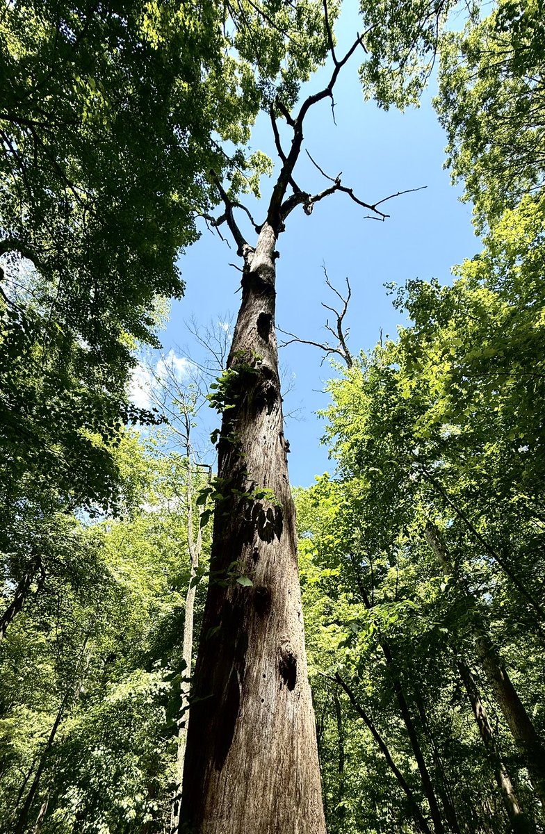 Another nature walk with the fam today 🥰💚 I love writing, but I also love photography!