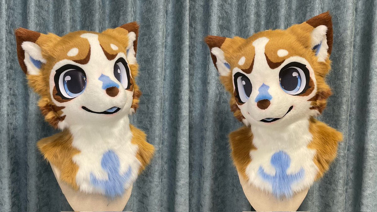 Cat unsold, please help. ᵒ̴̶̷̥́ㅂᵒ̴̶̷̣̥̀   

The individual head costs $800.If payment can be made in one go, there will be some discounts.

And you need to bear the shipping cost.

#fursuitsale #furry #fursuit #fursuitmaker