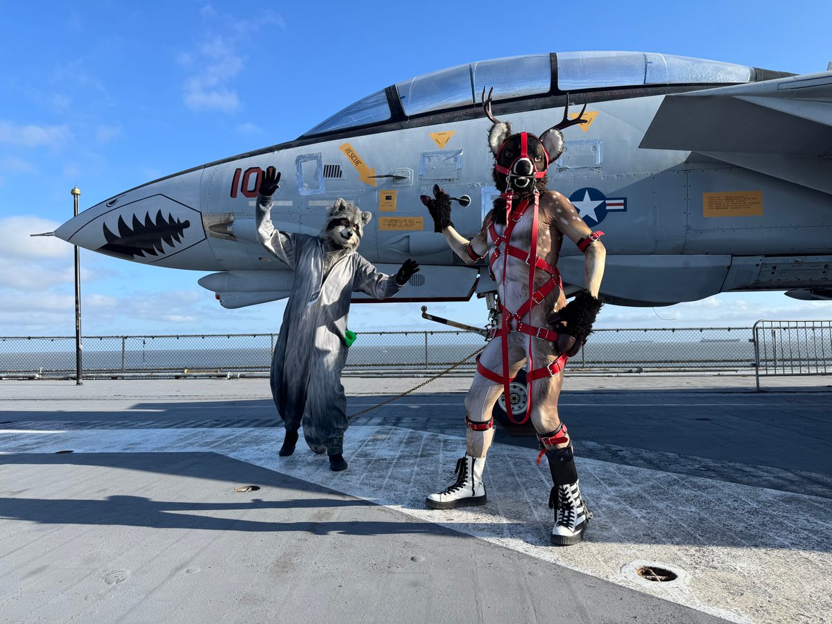 Fuckin Rubber Deer @rubberdeer.bsky.social (@rubberdeer) on Twitter photo Sleigh upgrade complete, reindeer now goes mach 1.7
On deck on the USS Hornet for #GalacticCamp with <a href="/RelayRaccoon/">Relay Raccoon</a> 📸 by <a href="/Pup_Leo/">Kory💜Miki💙Razz</a> Sleigh upgrade complete, reindeer now goes mach 1.7
On deck on the USS Hornet for #GalacticCamp with <a href="/RelayRaccoon/">Relay Raccoon</a> 📸 by <a href="/Pup_Leo/">Kory💜Miki💙Razz</a>