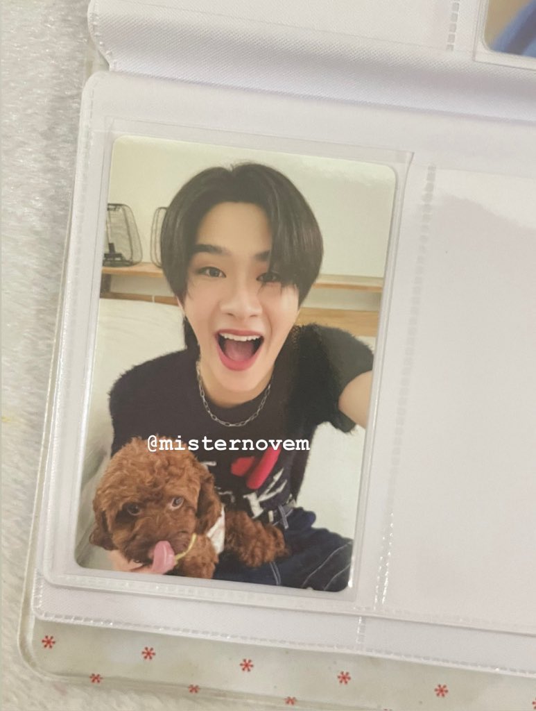 misternovem's tweet photo. ปล่อยก้าด
✶ ไทยอุ้มหมา 340 บาทรวมส่ง
✶ อลัน มาร์ค จินวุคใบละ 140 บาทรวมส่ง
✶ ไม่มีตำหนิ แถมซองใสตามภาพ
✶ ถ้าเหมา 4 ใบ 600 บาทรวมส่ง
ใครสนใจ/สอบถาม สามารถ dm/เมนชั่นได้เลยค��บ
#ตลาดนัดBUS https://t.co/wIeCYmN8Lh