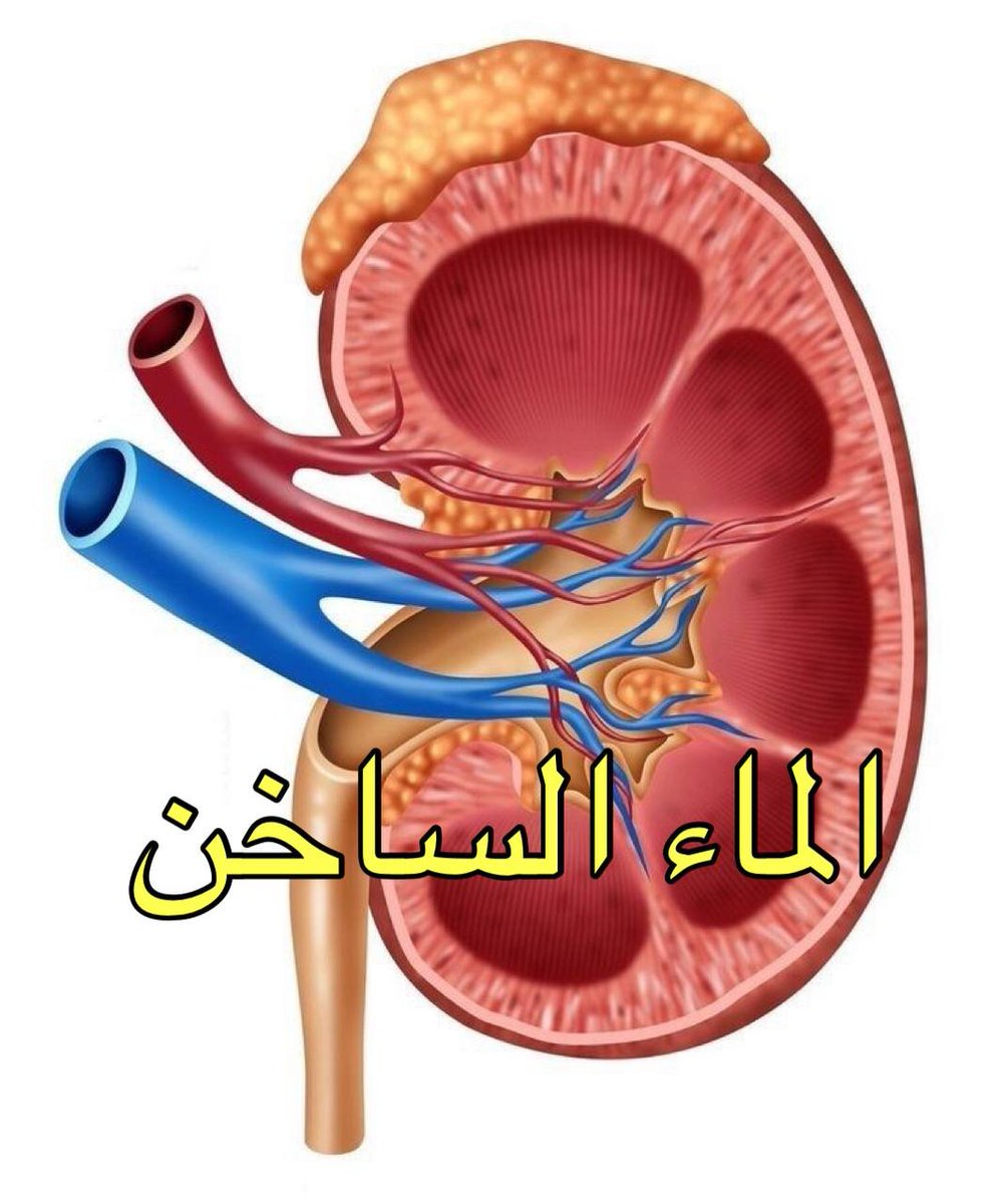 شرب الماء الساخن على المعدة الفارغة
موضوع هامّ، ليتني أستطيع إيصاله لكلّ إنسان،
فما من شي أغلى، بعد ديننا، من عافية الأبدان ..
يقول أحد أطباء القلب : 

لو أنّ كلّ من يحصل على هذا البريد يرسله إلى من يعرفه، فإنّه سيكون سبباً في إنقاذ حياة إنسان..

العلاج بالماء الساخن، لن تصدقوا