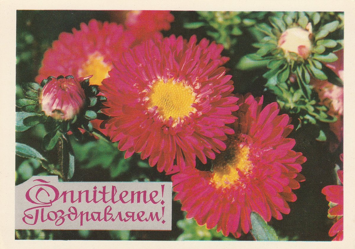 "Congratulations!" (in Estonian and Rusian)

Photo postcard by B. Maksimov (1974)