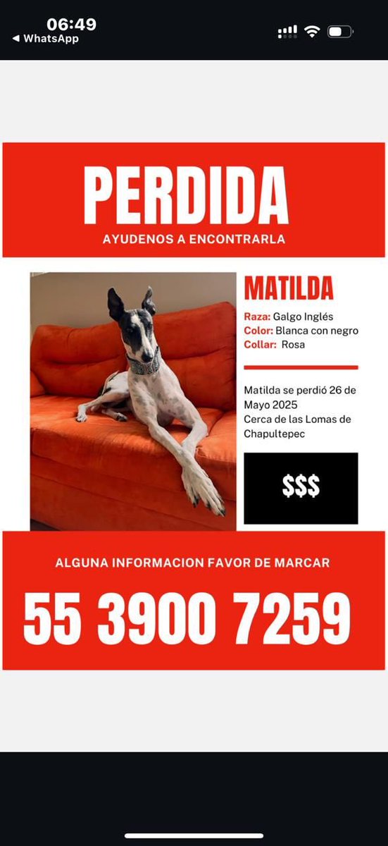marcoflaviocruz's tweet photo. Ayuda por favor https://t.co/iJhwiJfsGY