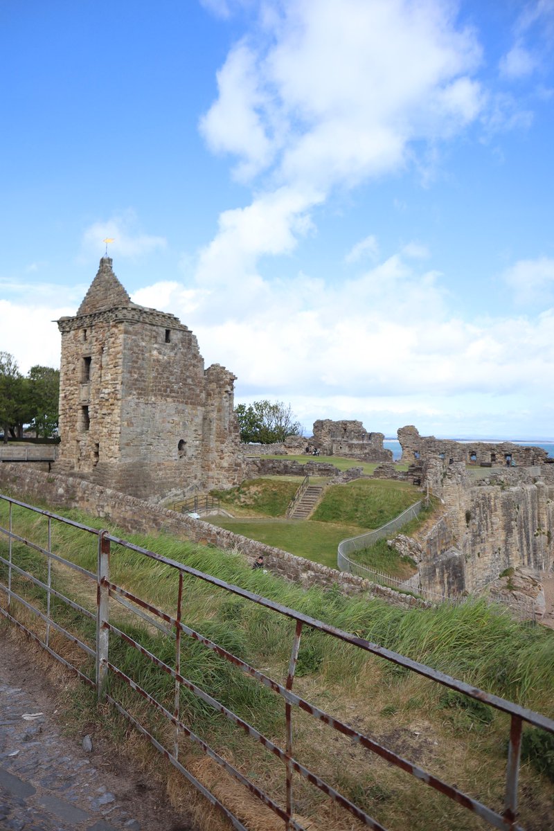 Ally Yeary tweet media