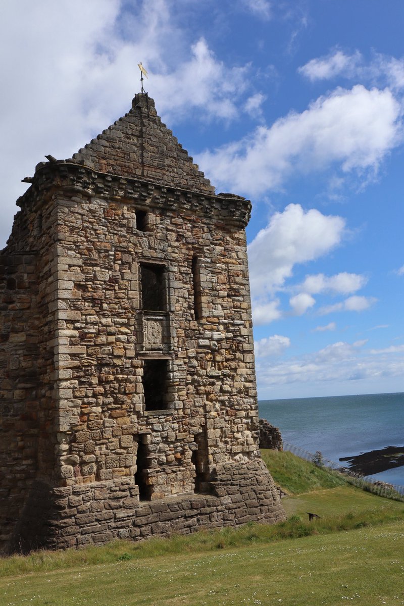 Ally Yeary tweet media