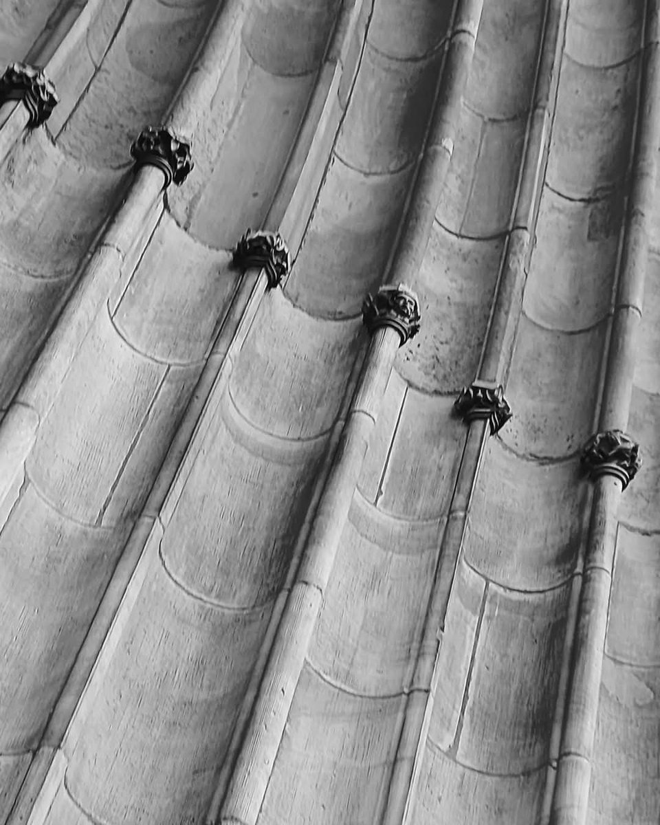 Vladix_Official's tweet photo. Rate this photo from 1 to 10🔥 #art #artwork #artgallery #photooftheday #photographer #photo #Building #vibes #goodvibes #greyday #BlackWhiteAndGray #Germany #Magdeburg https://t.co/6ci76QFXcL
