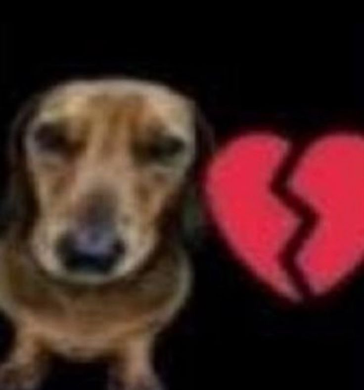 Acabé los parciales o los parciales acabaron conmigo