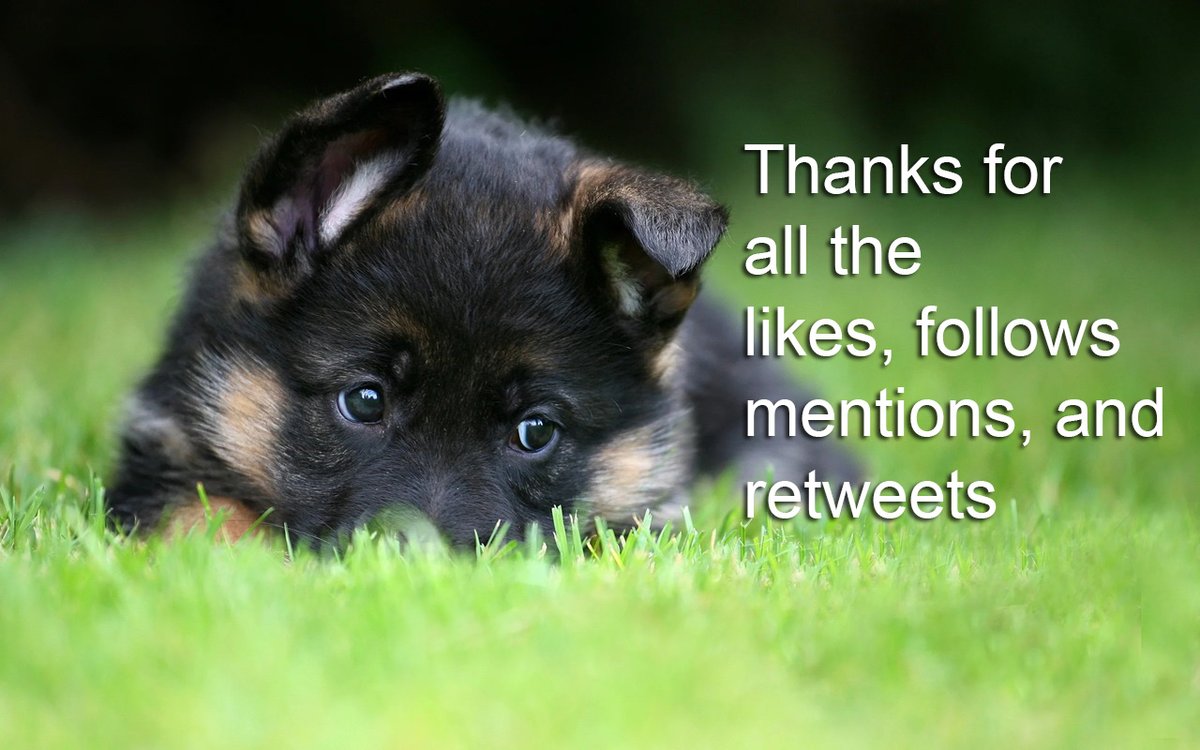 SteveAndApril (@steveandapril1) on Twitter photo Welcome to our new Twitter/X follows: <a href="/GessieAnneLopes/">Gessie Anne Lopes MD</a> <a href="/catelynenjeri/">Instant Pay Pro</a> <a href="/KaosarKhan15/">Kaosar Khan</a> <a href="/ljingyn1481/">Jayne</a> <a href="/Elements_______/">Elements</a> <a href="/BSDBSD679559/">BSD BSD·</a> <a href="/UaLocal123/">UALocal123</a> <a href="/NickolasMa98884/">Nickolas Martins</a> Welcome to our new Twitter/X follows: <a href="/GessieAnneLopes/">Gessie Anne Lopes MD</a> <a href="/catelynenjeri/">Instant Pay Pro</a> <a href="/KaosarKhan15/">Kaosar Khan</a> <a href="/ljingyn1481/">Jayne</a> <a href="/Elements_______/">Elements</a> <a href="/BSDBSD679559/">BSD BSD·</a> <a href="/UaLocal123/">UALocal123</a> <a href="/NickolasMa98884/">Nickolas Martins</a>