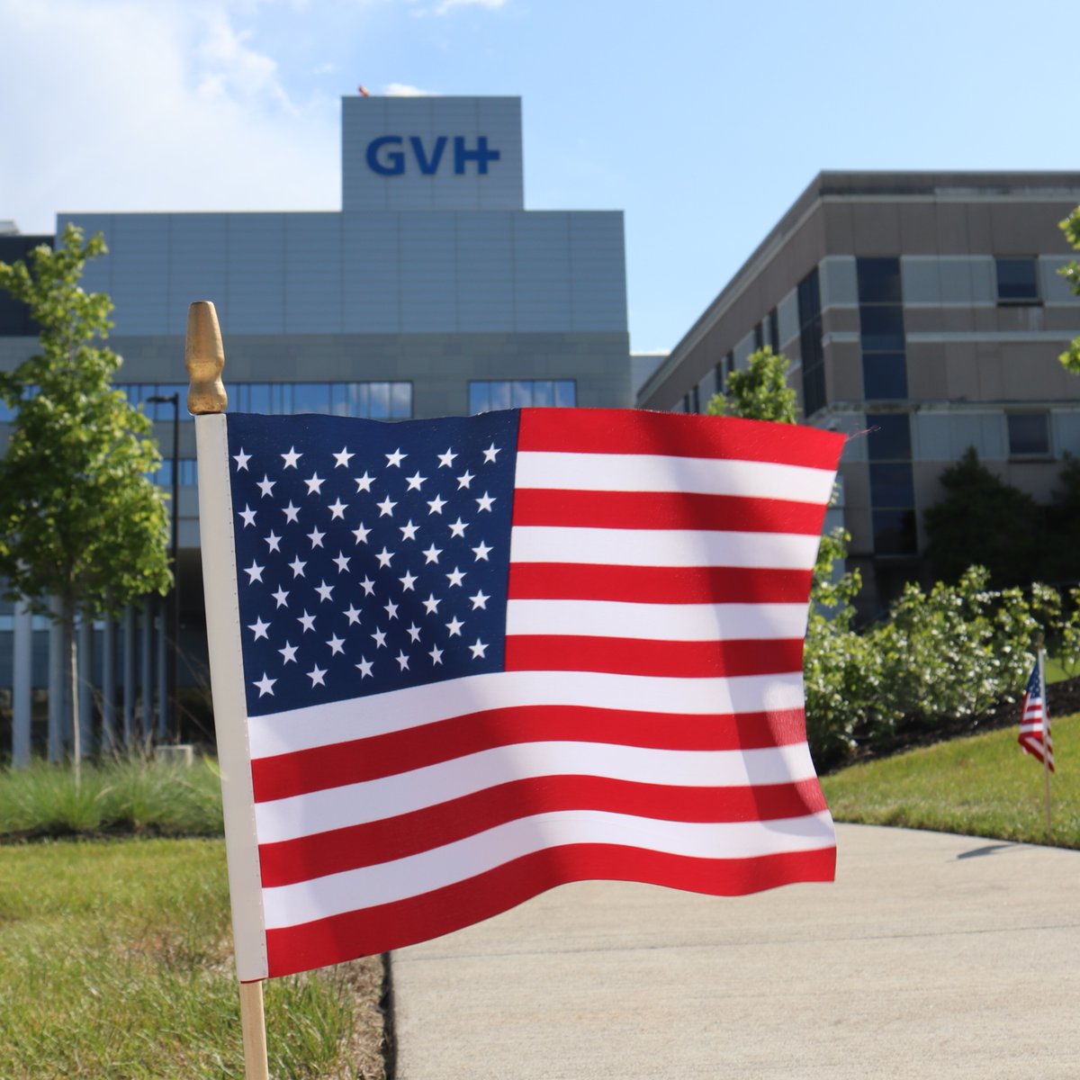 GVHHealth tweet media