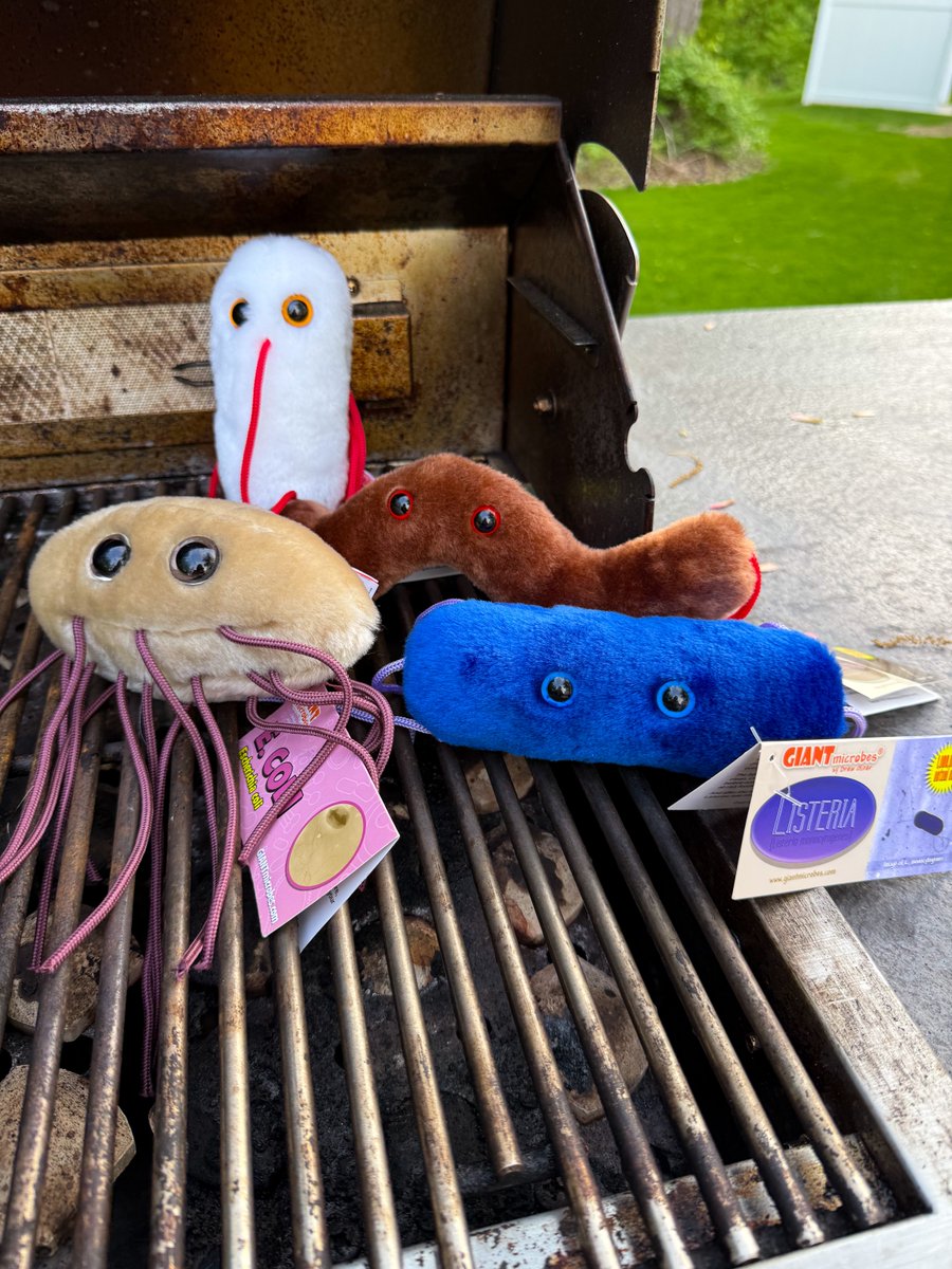 Everyone’s invited to the #MemorialDay BBQ… except these baddies! 🚫🍔💩
E. coli, Salmonella, Listeria &amp; pals love to crash the party. Keep it clean, keep it safe!
Shop Food Safety plushies: giantmicrobes.com/us/main/food-s…
#BBQ #FoodSafety #Ecoli #Salmonella #MemorialDay #Bacteria