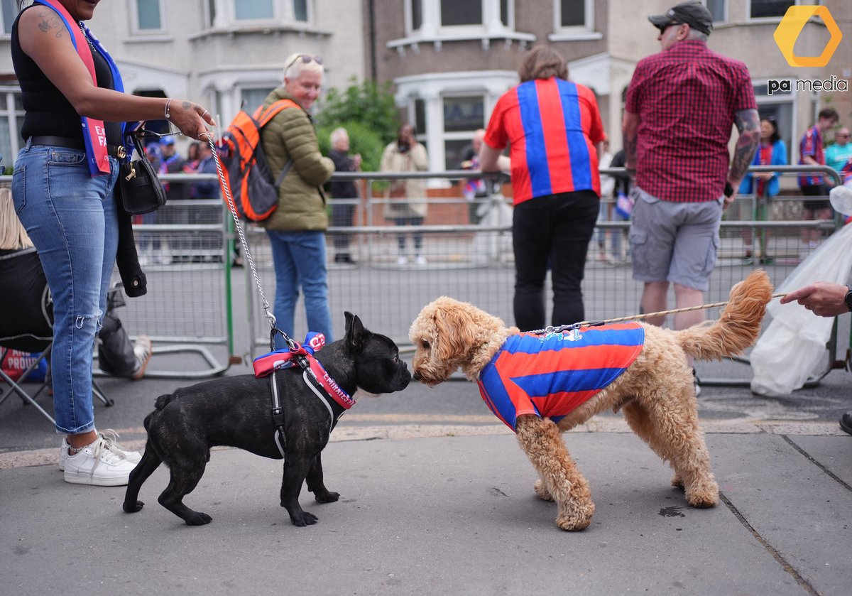 A great atmosphere as Crystal Palace fans attend the FA Cup winners parade around Selhurst Park in London. Crystal Palace won the FA Cup after a 1-0 victory over Manchester City at Wembley. #FACup #Football