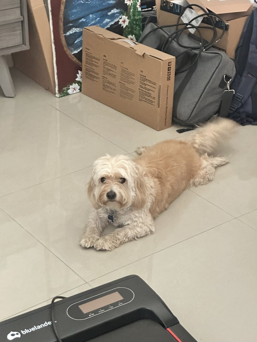 sharkboy tweet media