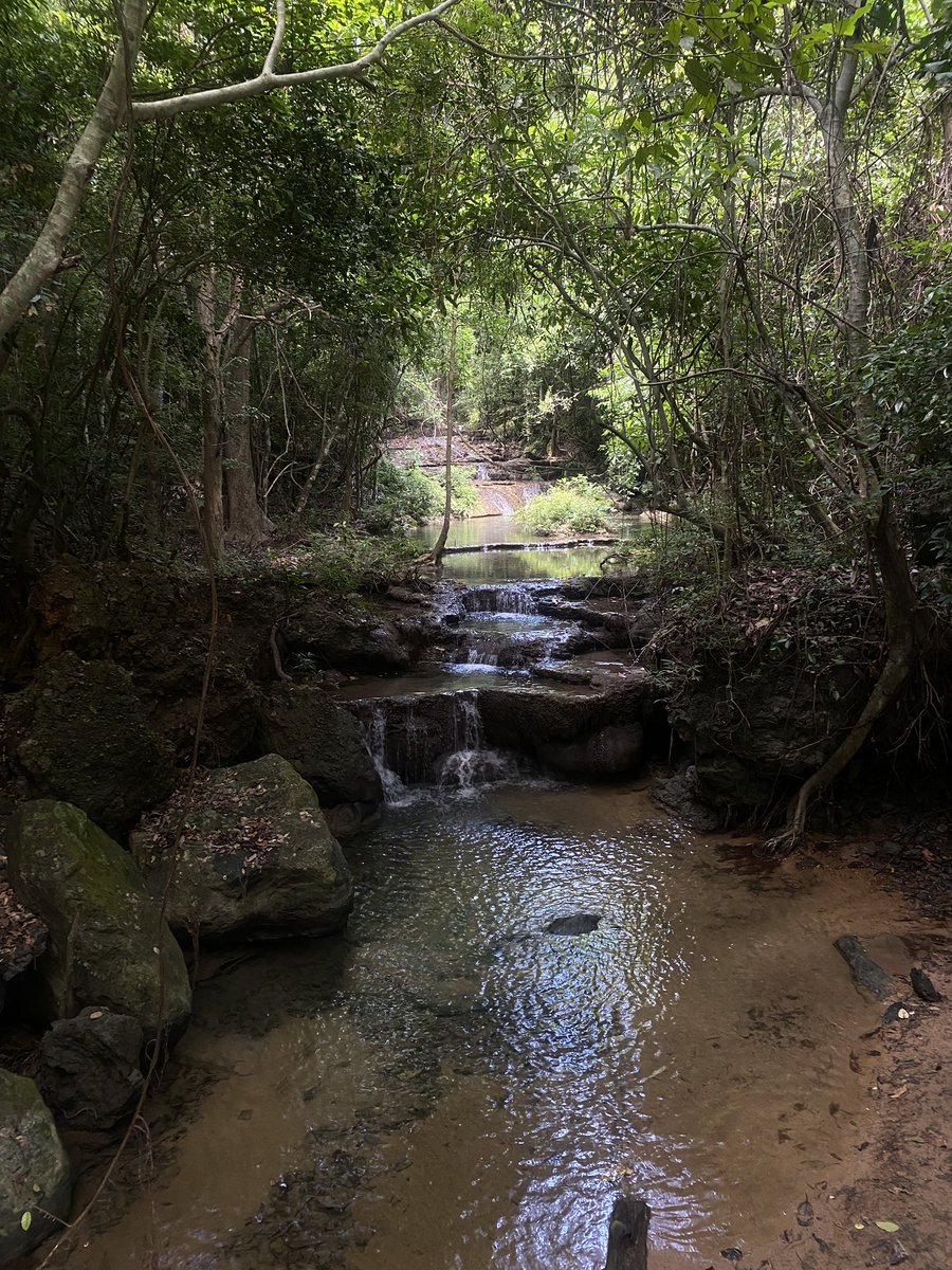 paper (@im_paperrrr) on Twitter photo 