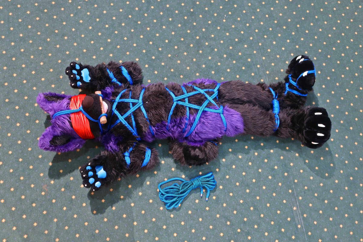 Whoops
completely forgot to post today ^^

here the first picture of <a href="/RipsterCuddle/">Ripster</a> 's session at the workshop of Furvester.

Hope you enjoy it.