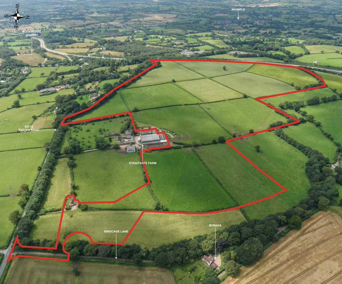 Straitgate Action Gp tweet media