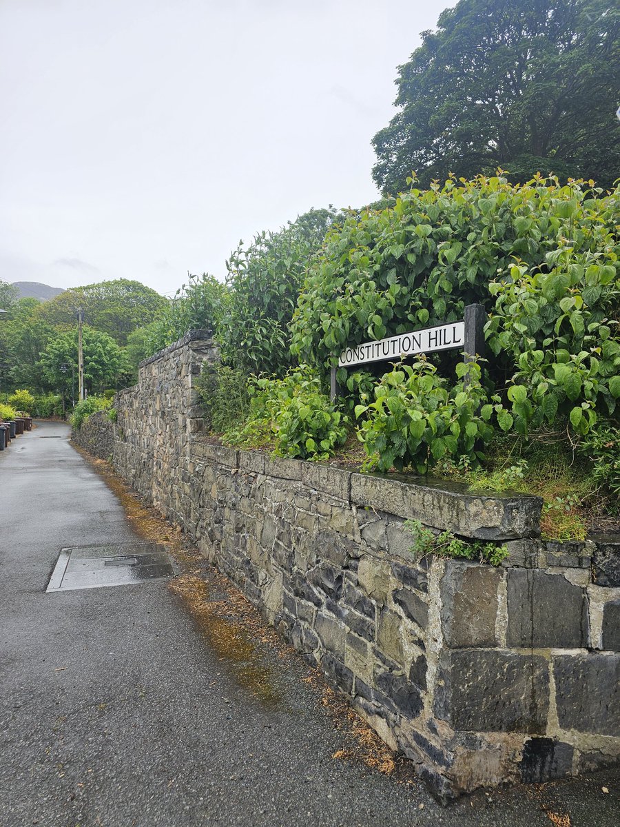 Fell twice trying to get down it... 

<a href="/sevenbarrows/">Nicky Henderson</a>
