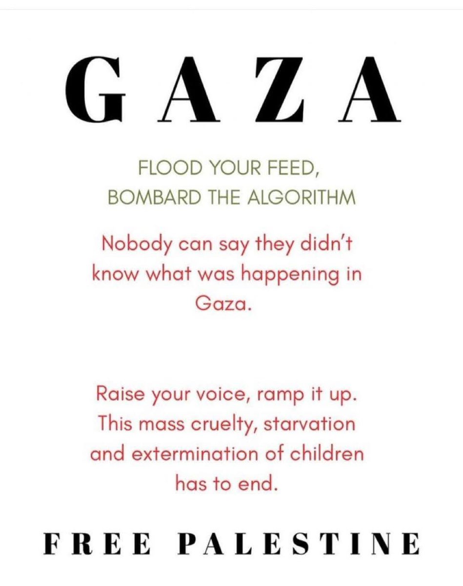 Nikki #FreePalestine 🇵🇸 tweet media