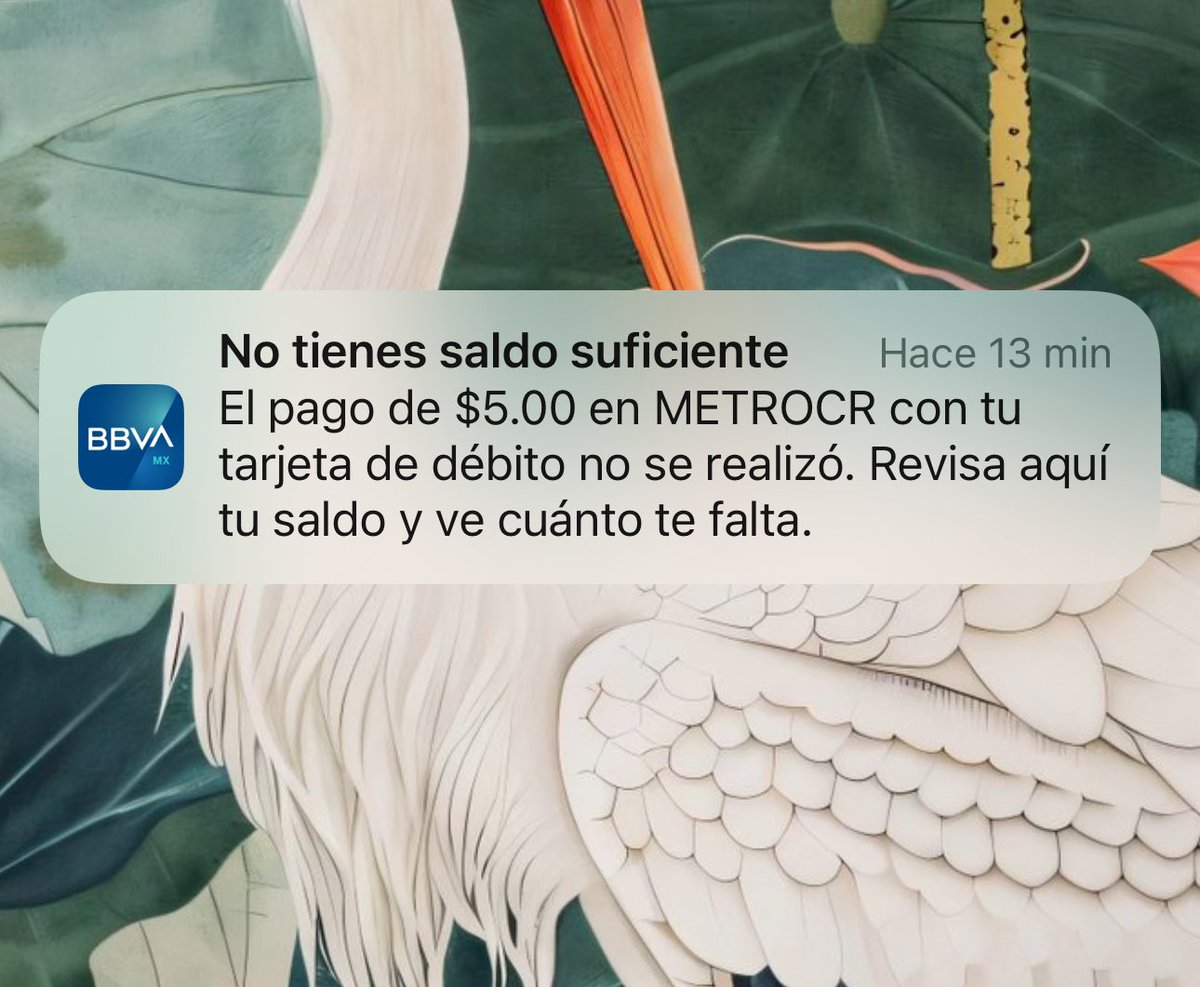 chilaquilverd's tweet image. “Los mexicanos tienen ahorros suficientes para enfrentar la recesión”

Los mexicanos (yo):