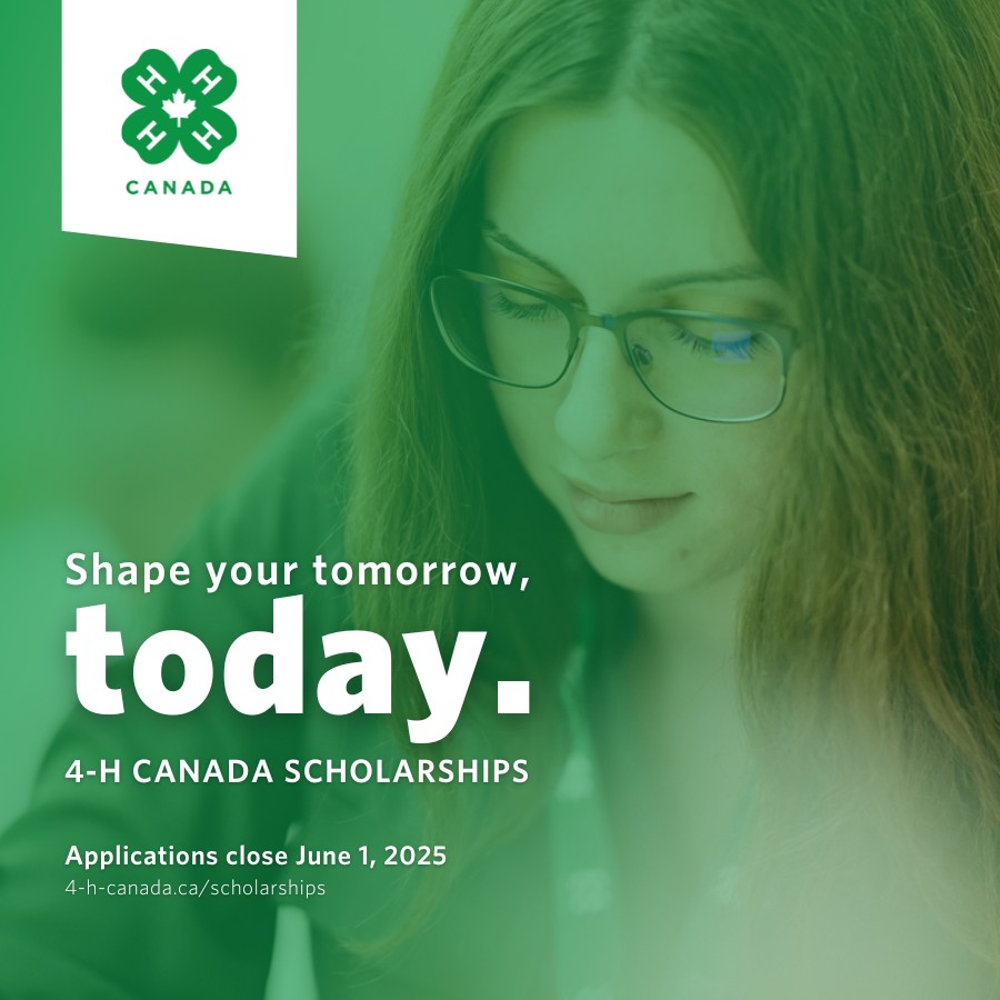 4-H Canada ππ¨π¦ (@4hcanada) on Twitter photo Donβt delay. Apply today!
Thereβs lots of scholarship money up for grabs but you gotta apply if you want help covering the costs of next yearβs tuition. Visit bit.ly/4bWEndD for more details.
Thanks to our partners β @MNP_Ag, @td_canada, <a href="/JohnDeere/">John Deere USA</a>, Campbellbrook Donβt delay. Apply today!
Thereβs lots of scholarship money up for grabs but you gotta apply if you want help covering the costs of next yearβs tuition. Visit bit.ly/4bWEndD for more details.
Thanks to our partners β @MNP_Ag, @td_canada, <a href="/JohnDeere/">John Deere USA</a>, Campbellbrook