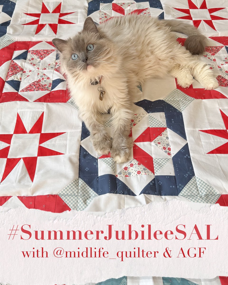 ArtGalleryFab's tweet photo. There’s still time to join the Summer Jubilee Sew Along with the amazing Victoria & enter the weekly GIVEAWAY! Head over to the blog to find out the prizes!
https://t.co/CsTlPRZlQK
#ArtGalleryFabrics #SewAlong #QuiltAlong #SewingChallenge #QuiltBlock #QuiltTop https://t.co/x9sikWIpVr