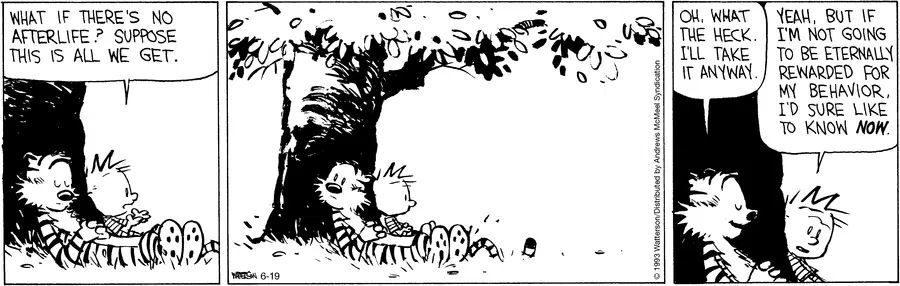 Calvinn_Hobbes's tweet photo. Existential crisis under a tree: Calvin wants to know if good behavior is really worth it.
#CalvinandHobbes #DeepThoughts https://t.co/Km7NAeu1ot