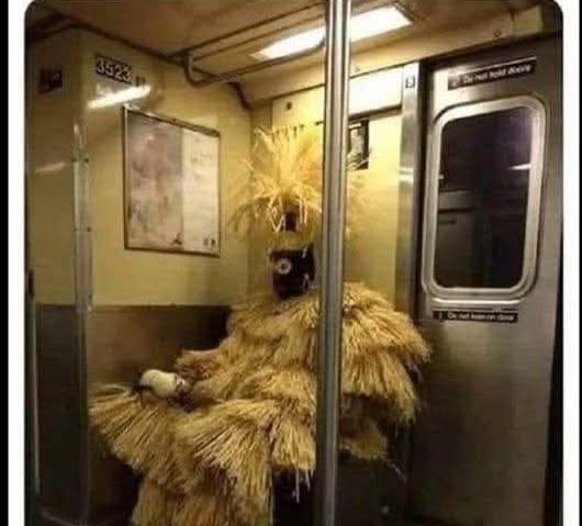 Quand t'es rouleau de lavage chez l'éléphant bleu et que tu rentres du boulot !