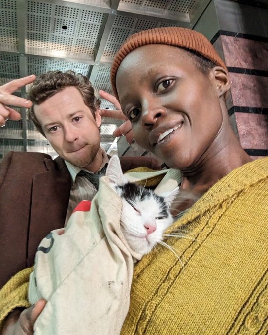 hourly joseph quinn (@hourlyjoequinn) on Twitter photo 