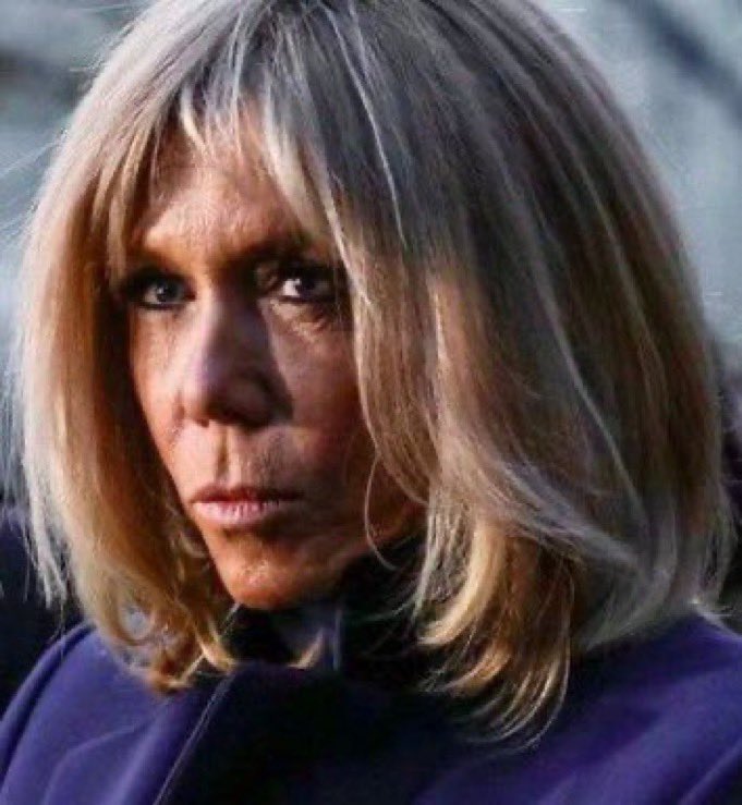 MmisterNobody's tweet photo. Brigitte Macron is a man. https://t.co/bBfuv1kASS
